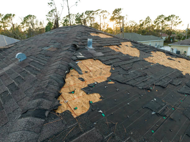 Best Roof Maintenance and Cleaning  in Colusa, CA